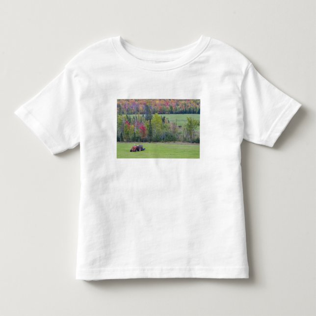 Camiseta Trator com fardo de feno em campo verde com (Frente)
