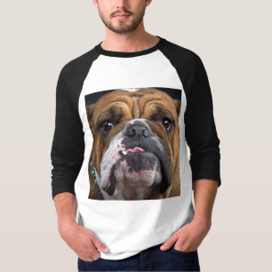 Camiseta Travesseiro decorativo Inglês Bulldog
