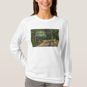 Camiseta Trem com CanyonMt de madeira. Lowe, CA