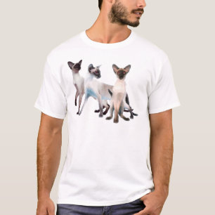 Camiseta Três gatos Siamese