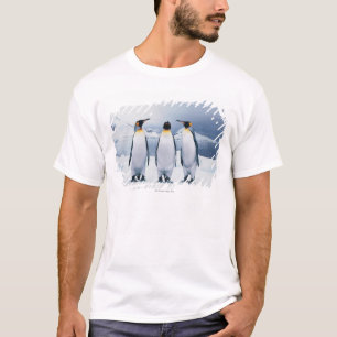 Camiseta Três rei pinguins