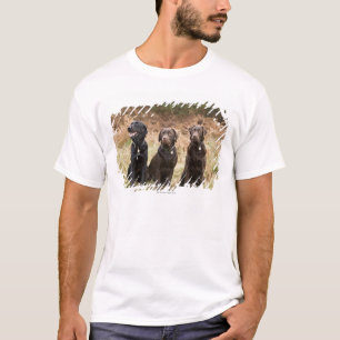 Camiseta Três retrievers de Labrador pretos