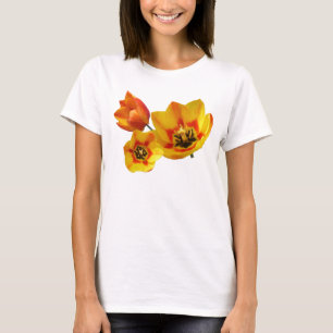 Camiseta Três Tulipas Amarelas e Laranja Círculo Superior T