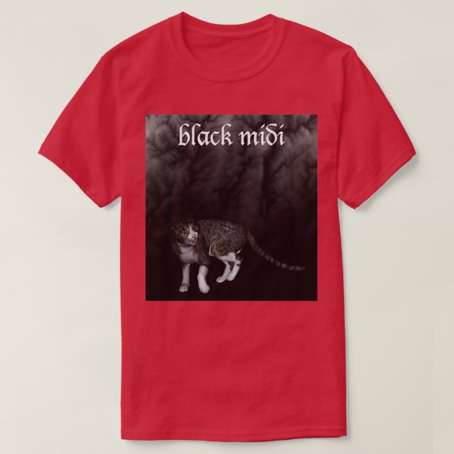 Camiseta tributo (Frente do Design)