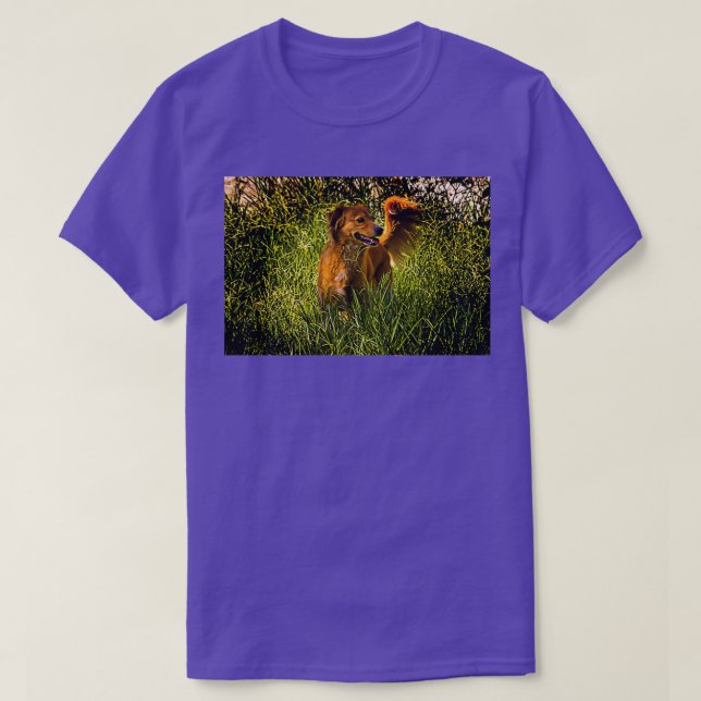 Camiseta Tributo A Mi Loca Mariposa II (Frente do Design)