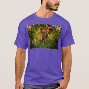 Camiseta Tributo A Mi Loca Mariposa II