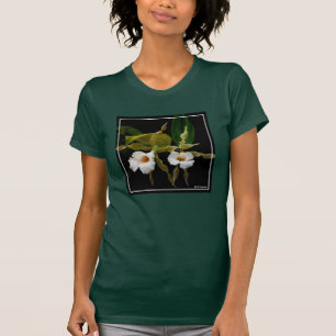 Camiseta Trichopilia Tortilis
