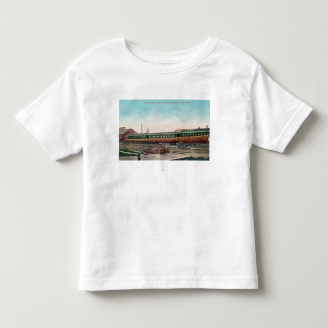 Camiseta Trilhas de estrada de ferro longas do início de (Frente)