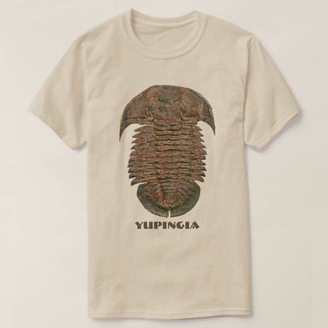 Camiseta Trilobita Fóssil Yuepingia (Frente do Design)