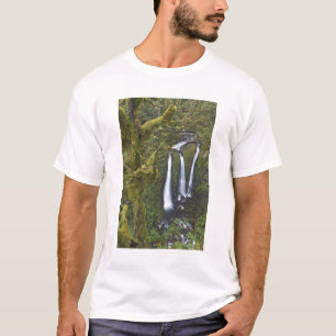 Camiseta Triple Falls, Desfiladeiro do Rio Columbia