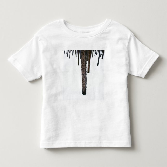Camiseta Troncos de árvore na neve (Frente)