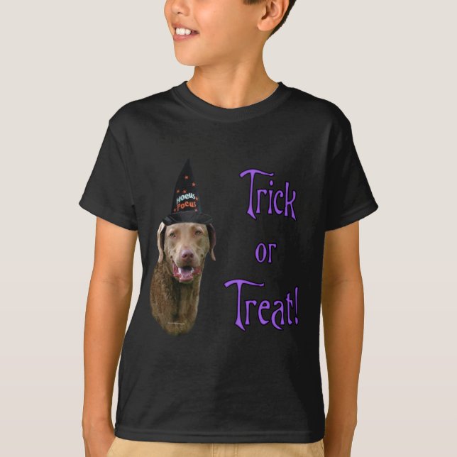 Camiseta Truque de Retriever da Baía de Chesapeake (Frente)