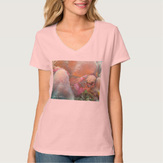 Camiseta Tshirt da enguia