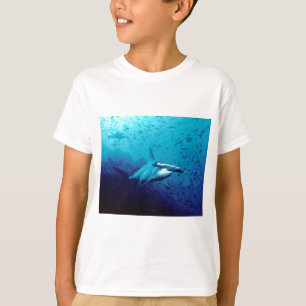 Camiseta Tubarão de Hammerhead