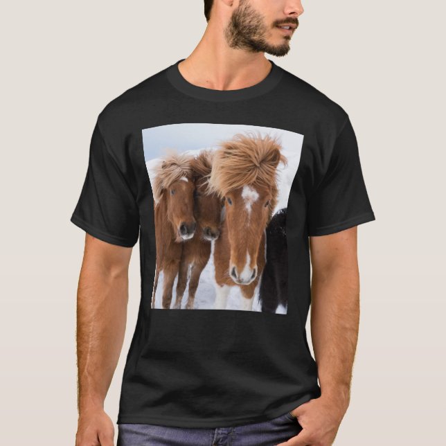 Camiseta Tubeirão dos Cavalos da Islândia, Islândia (Frente)