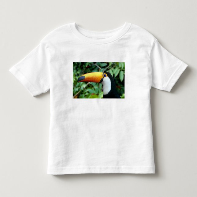 Camiseta Tucano-de-bico-amarelo (Frente)