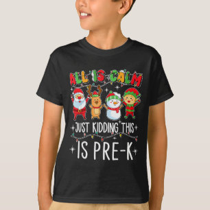 Camiseta Tudo Está Calmo Só Brincando Este Pré-escolar Prof