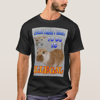 Camiseta Tudo que eu quero fazer é um meme de gato ilegal