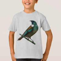 Tui New Zealands Bird