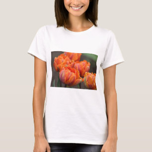 Camiseta tulipa laranja