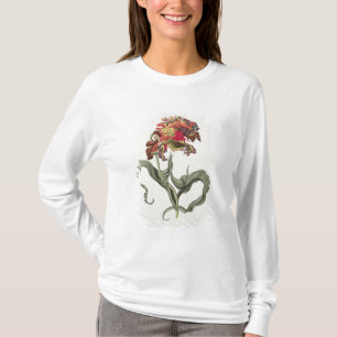 Camiseta Tulipa Monstrosa Rubra Maior 'de Phythanthoza CI