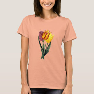 Camiseta Tulipa (Tulipa Gesneriana)