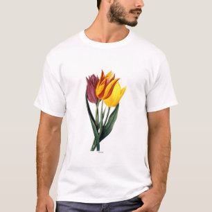 Camiseta Tulipa (Tulipa Gesneriana)