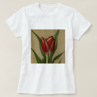 Tulipa Vermelha chique Adorável
