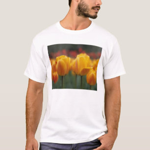 Camiseta Tulipas 2