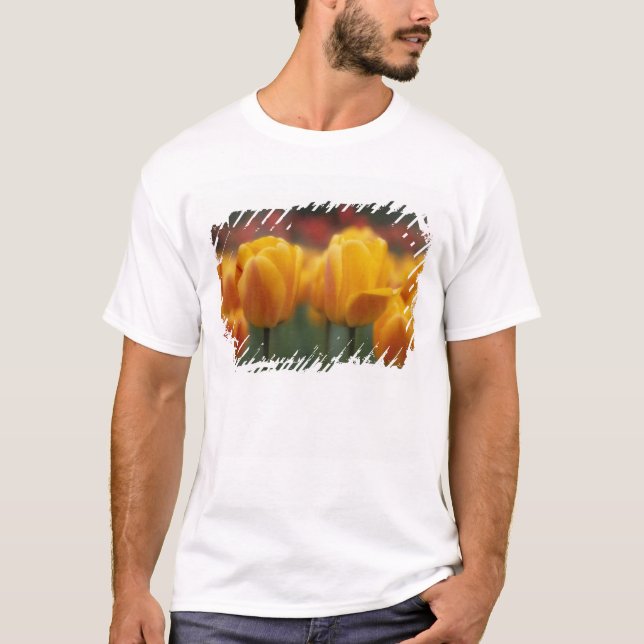 Camiseta Tulipas 2 (Frente)