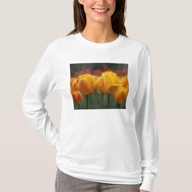 Camiseta Tulipas 2 (Frente)