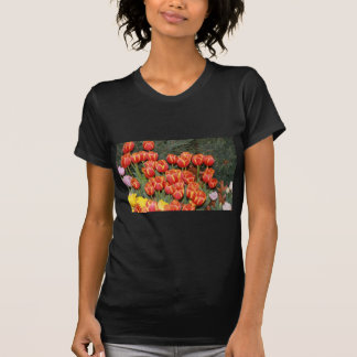 Camiseta Tulipas Bloomin!