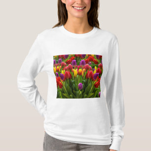 Camiseta Tulipas Brilhantes