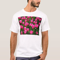 TULIPAS COR-DE-ROSA BONITAS