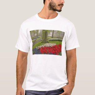 Camiseta Tulipas e narcisos, Jardins Keukenhof,