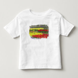 Camiseta Tulipas, Jacintos e Narcisos, 2