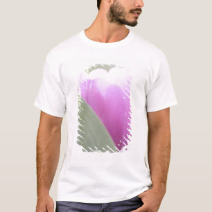 Camiseta Tulipas, Jardins Keukenhoff, Países Baixos. 2