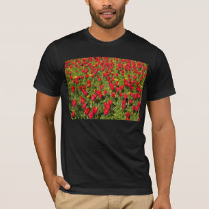 Camiseta Tulipas Vermelhas