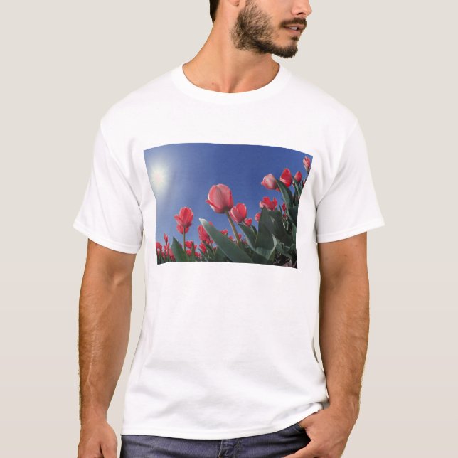 Camiseta Tulipas vermelhas de ângulo muito baixo, Cincinnat (Frente)