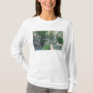 Camiseta Túnel da entrada do parque estadual e ponte da