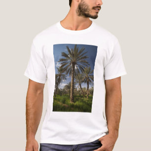 Camiseta Tunísia, Área Ksour, Ksar Ghilane, palmeira datilí
