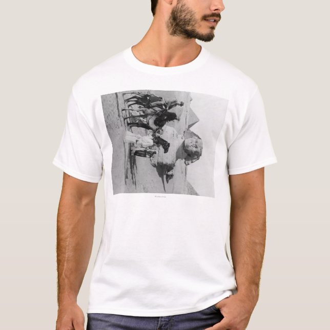 Camiseta Turistas de Egipto que viajam o Nile, Sphix (Frente)
