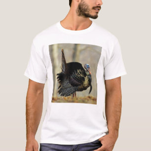 Camiseta Turkey struting masculino, Illinois