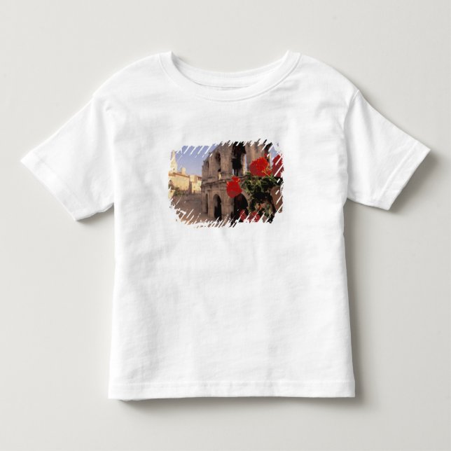 Camiseta UE, França, Provença, Bouches, du, Rhone, 6 (Frente)