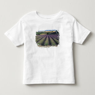 Camiseta UE, França, Provença, Campos de lavanda 2