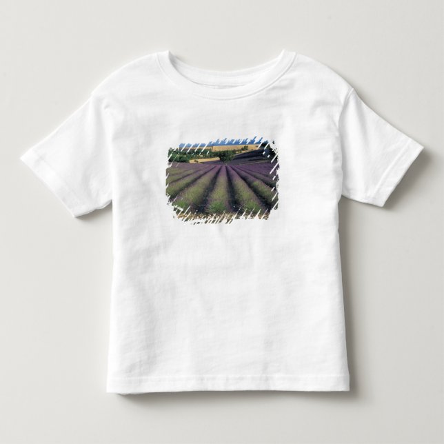 Camiseta UE, França, Provença, Campos de lavanda 2 (Frente)