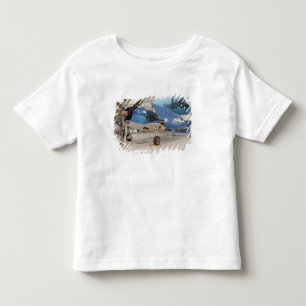 Camiseta Um avião de combate F-6F Hellcat da Segunda Guerra