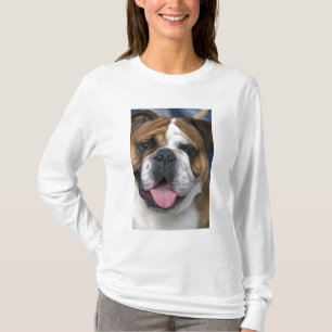 Camiseta Um bulldog inglês na Bélgica.
