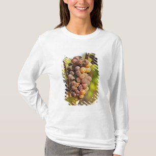 Camiseta Um cacho de uva de Semillon moldado em Ch Raymond 