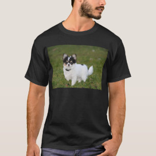 Camiseta Um cão Chihuahua parado em um gramado verde